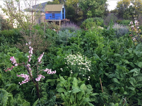 Down To Earth Permaculture - Accommodation Mooloolaba 0