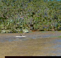 Fitzpatrick Park - Accommodation Mooloolaba