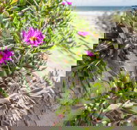 Fort Bribie - Accommodation Mooloolaba