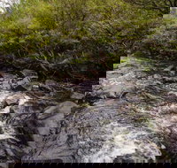 Gloucester River walking track - Accommodation Mooloolaba