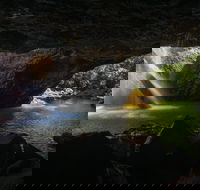 Gondwana Rainforests of Australia World Heritage Area - Accommodation Mooloolaba