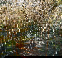 Leeuwin-Naturaliste National Park - Cowaramup - Accommodation Mooloolaba