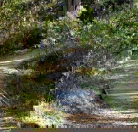 McDirtys Walking Track - Accommodation Mooloolaba