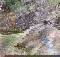 Mill-bullah Walking Track - Accommodation Mooloolaba