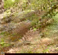 Mount Carnarvon Walking Track - Accommodation Mooloolaba