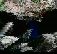 Natural Bridge Circuit Springbrook National Park - Accommodation Mooloolaba