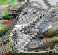 Nelly's Niche - Accommodation Mooloolaba