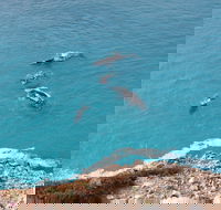Nullarbor National Park - Accommodation Mooloolaba