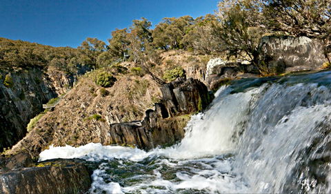 Oxley Walking Track - Accommodation Mooloolaba 0