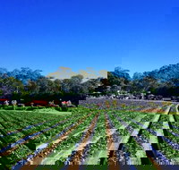 Palmview - Accommodation Mooloolaba