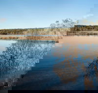 Pattimores Lagoon - Accommodation Mooloolaba