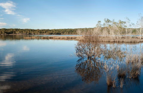 Pattimores Lagoon - Accommodation Mooloolaba 0