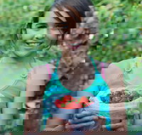 Ricardoes Tomatoes and Strawberries Farm Port Macquarie - Accommodation Mooloolaba