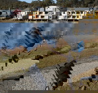 Sculpture Trail at Lake Crackenback Resort and Spa - Accommodation Mooloolaba