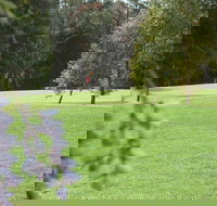 Springwood Country Club - Accommodation Mooloolaba