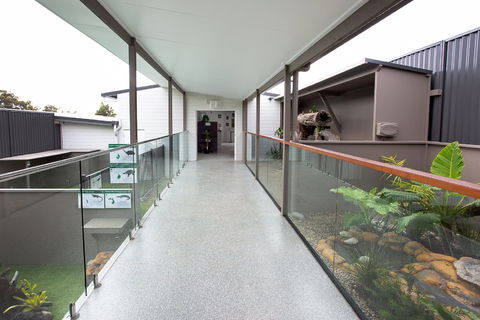 Steve McEwan's Reptile World - Accommodation Mooloolaba 2