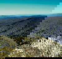 Tapin Tops National Park - Accommodation Mooloolaba