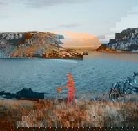 The Nut - Accommodation Mooloolaba