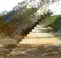 The Bloomfield Track - Accommodation Mooloolaba