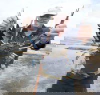 Tiddy Widdy Beach - Accommodation Mooloolaba