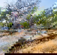 Timber Creek - Accommodation Mooloolaba