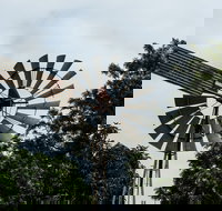 Tinaberries - Accommodation Mooloolaba