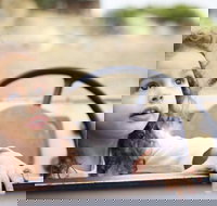 Toddler Thursdays at Werribee Open Range Zoo - Accommodation Mooloolaba