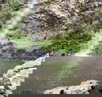 Twin Falls Circuit Springbrook National Park - Accommodation Mooloolaba