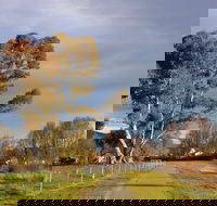 Adelong Falls Walk - Accommodation Mooloolaba