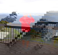 Best of All lookout track Springbrook National Park - Accommodation Mooloolaba