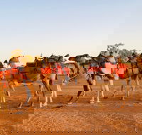 Broken Hill Camels - Accommodation Mooloolaba
