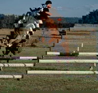 Camden Bicentennial Equestrian Park - Accommodation Mooloolaba