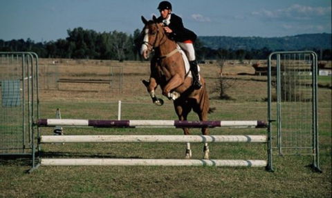 Camden Bicentennial Equestrian Park - Accommodation Mooloolaba 0