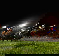 Canterbury Park Racecourse - Accommodation Mooloolaba