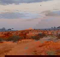 Castle Rock walk and Lookout - Accommodation Mooloolaba