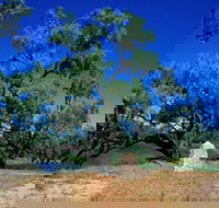 Comet - Accommodation Mooloolaba