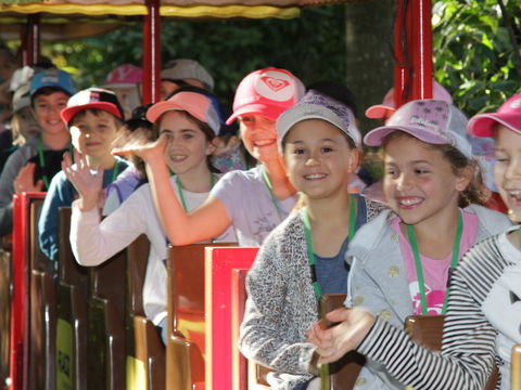 Currumbin Wildlife Sanctuary - Accommodation Mooloolaba 1