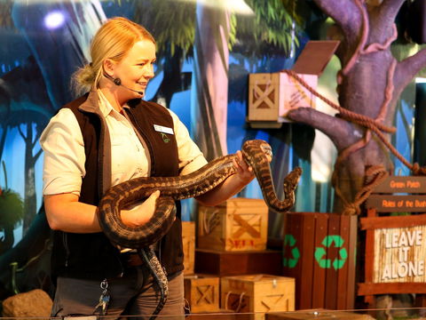 Currumbin Wildlife Sanctuary - Accommodation Mooloolaba 2
