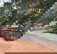 Fred's Pass Rural Market - Accommodation Mooloolaba