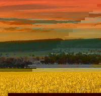 Galore Hill Scenic Reserve - Accommodation Mooloolaba