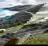 Great Ocean Road - Accommodation Mooloolaba