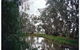 Henty Government Dam Nature Reserve - thumb 0