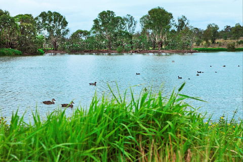 Lake Apex Park - Accommodation Mooloolaba 1