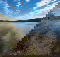 Lake Innes Nature Reserve - Accommodation Mooloolaba