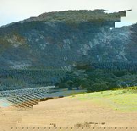 Langi Ghiran State Park - Accommodation Mooloolaba