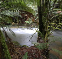 Marriotts Falls and Junee Caves - Accommodation Mooloolaba
