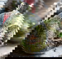 Moxom and Whitney - Accommodation Mooloolaba