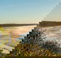 Narrawallee Creek Nature Reserve - Accommodation Mooloolaba