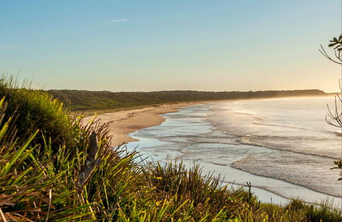 Narrawallee Creek Nature Reserve - Accommodation Mooloolaba 0