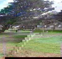 Old Cemetery Kingscote - Accommodation Mooloolaba